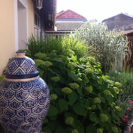 La Maison De Lilly アルカション