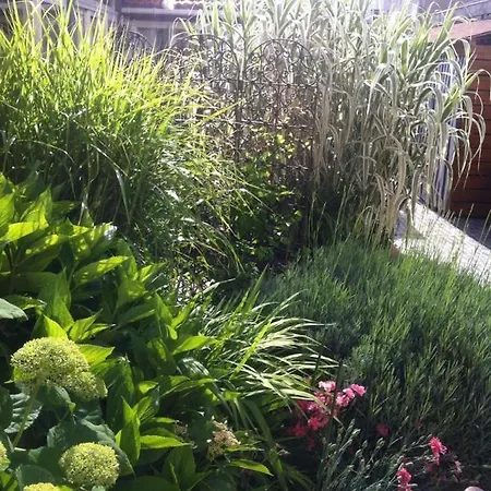 ベッド・アンド・ブレックファスト La Maison De Lilly