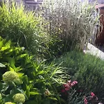Bed & Breakfast La Maison De Lilly
