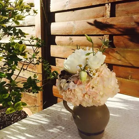 La Maison De Lilly Bed & Breakfast