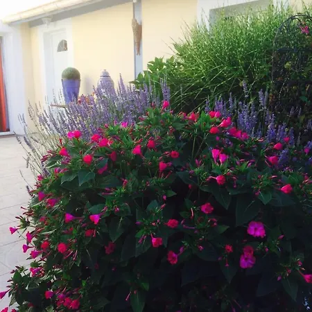 La Maison De Lilly Bed & Breakfast