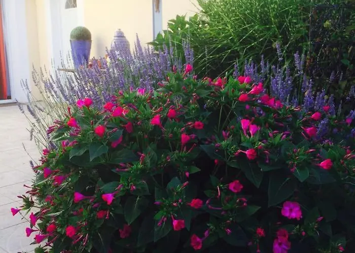 La Maison De Lilly Bed & Breakfast