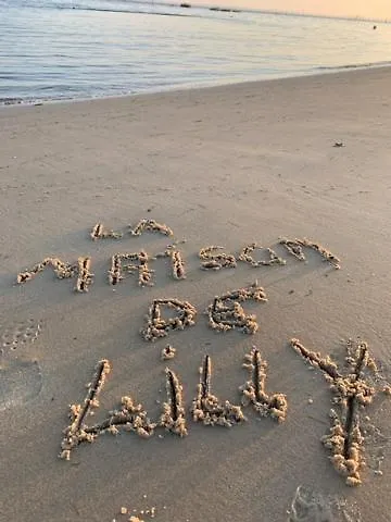 La Maison De Lilly Arcachon